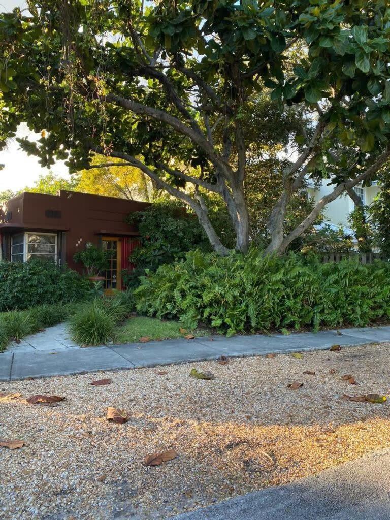 Delight And Cozy Apt Close To Las Olas & The Beach Fort Lauderdale Esterno foto