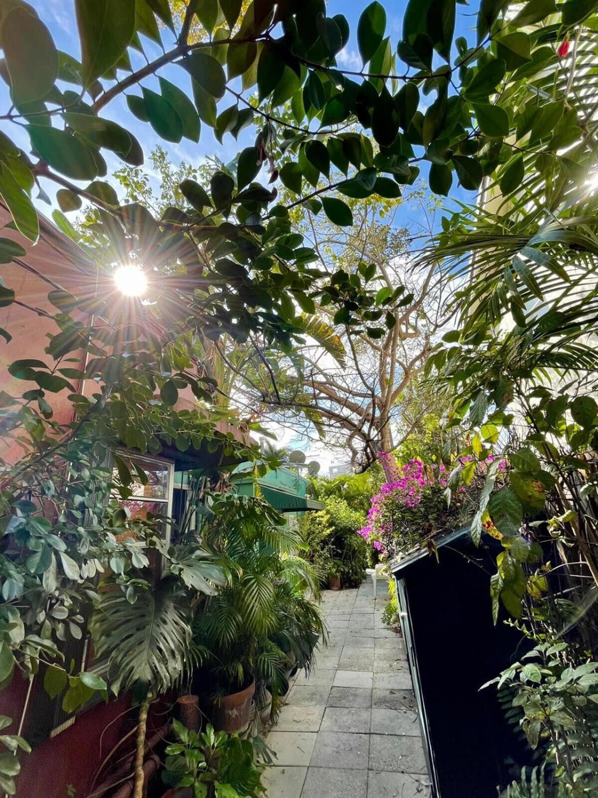 Delight And Cozy Apt Close To Las Olas & The Beach Fort Lauderdale Esterno foto